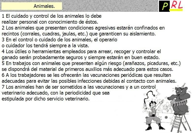 130 ANIMALES